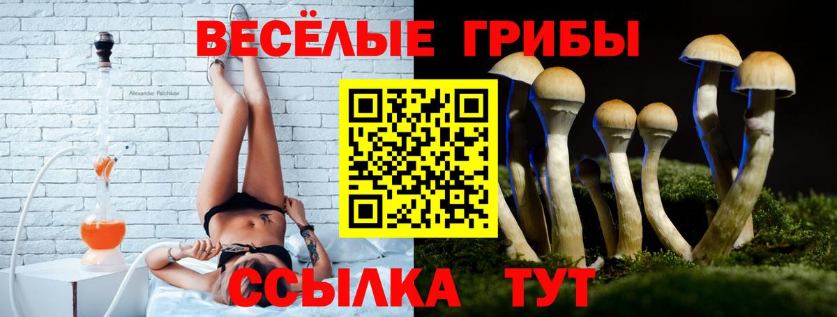 Сальск  Галлюциногенные грибы Psilocybine cubensis  Вход с VPN 